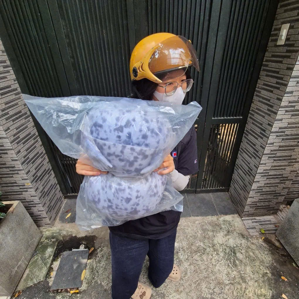 Cún ôm thú bông trong ngày sinh nhật